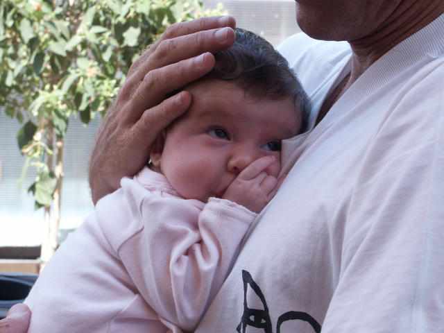 S2 211 - June 2006.jpg