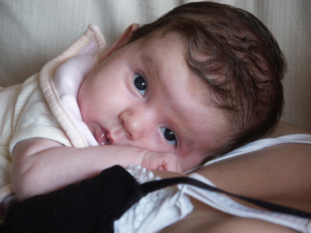 S2 234 - June 2006.jpg