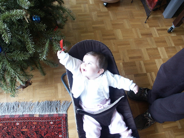 S8 188.jpg