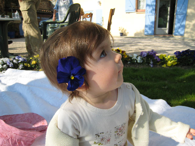 S12 145.jpg