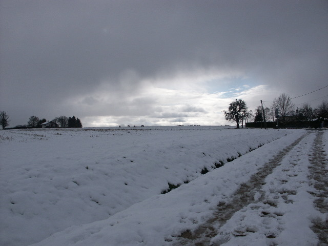 S18 136.jpg