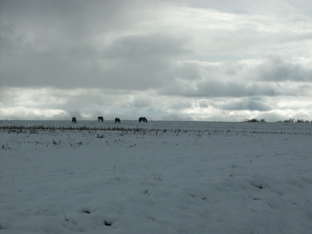 S18 137.jpg
